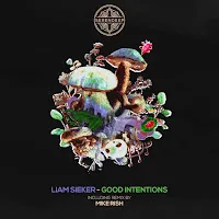 Liam Sieker — Good Intentions — обложка