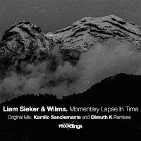 Liam Sieker — Momentary Lapse In Time (Dimuth K Remix) Ft Wilma (Au) — обложка